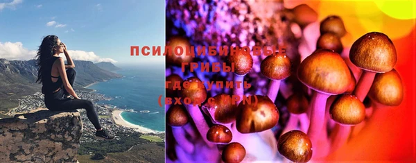 мдпв Белокуриха