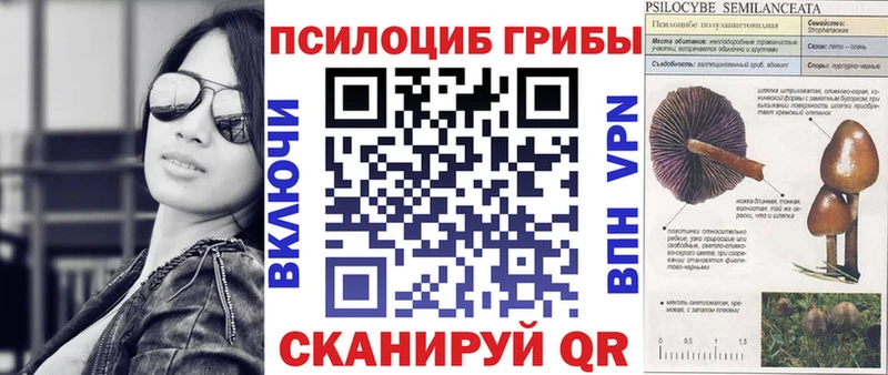 Псилоцибиновые грибы ЛСД  купить закладку  Волчанск 
